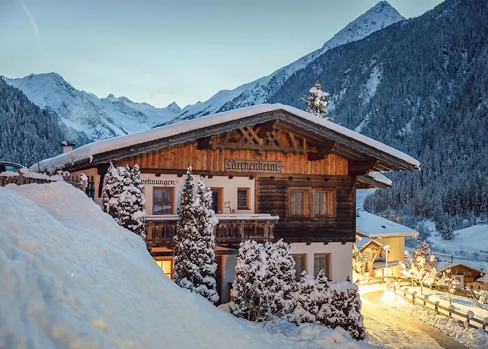 شقة فندقية Laerchenheim